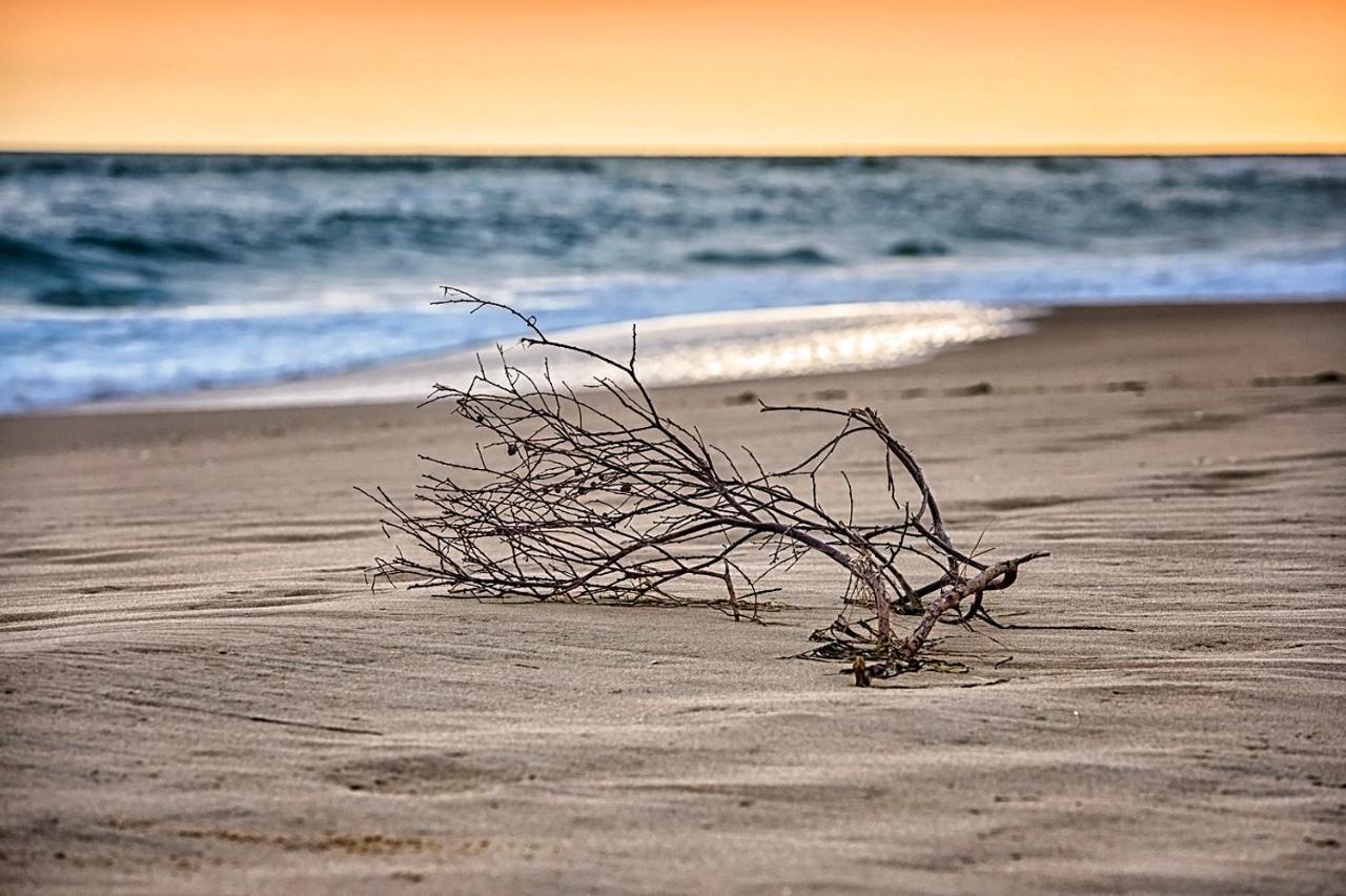The Lakes Beachfront Holiday Park Lake Tyers Beach Exteriér fotografie